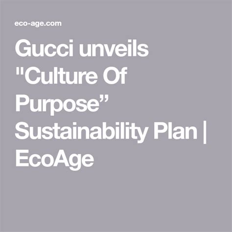 gucci culture of purpose sustainability plan|Gucci sustainability ratings.